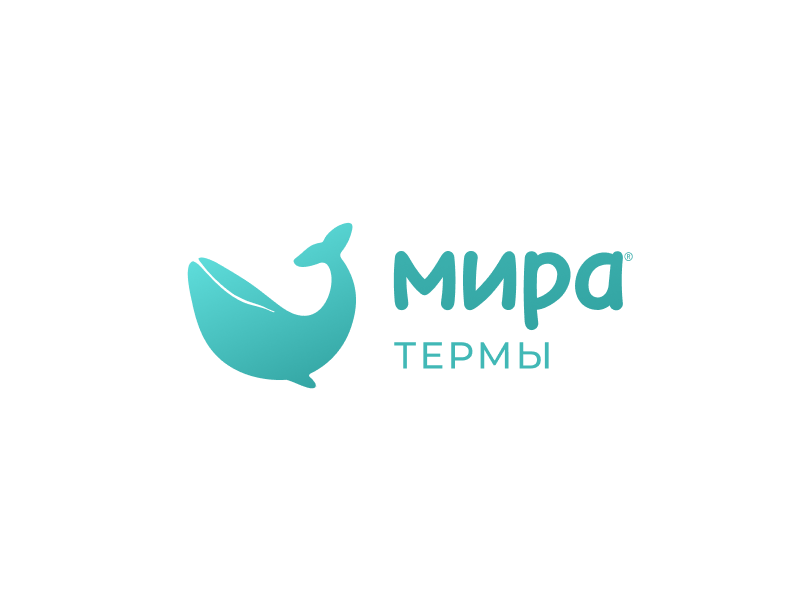 Сайт для «МИРА ТЕРМЫ»